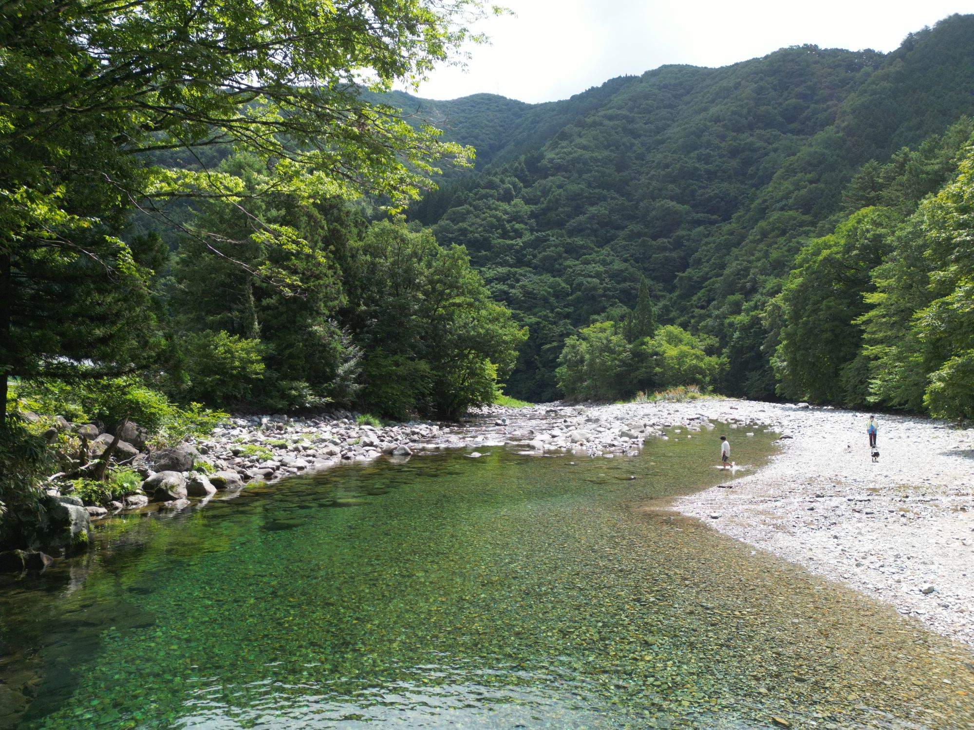大洞川の透き通った川と自然の風景